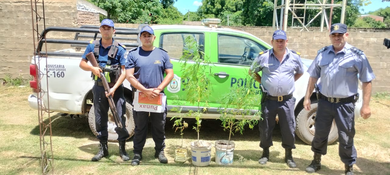 PALMAR GRANDE: La Policía hallo plantas de marihuana