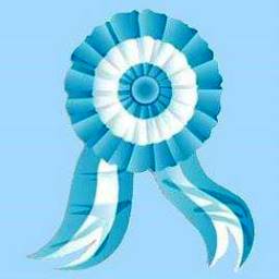 Hoy se conmemora el dia de la escarapela: ¿ Conoce porque se festeja hoy?