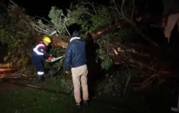 Alvear sufri&oacute; la ca&iacute;da de &aacute;rboles y casas destruidas tras fuerte temporal 