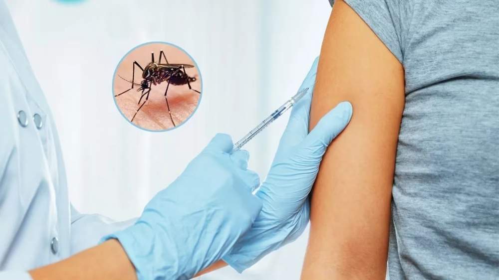 Este año llega la vacuna del dengue al país 